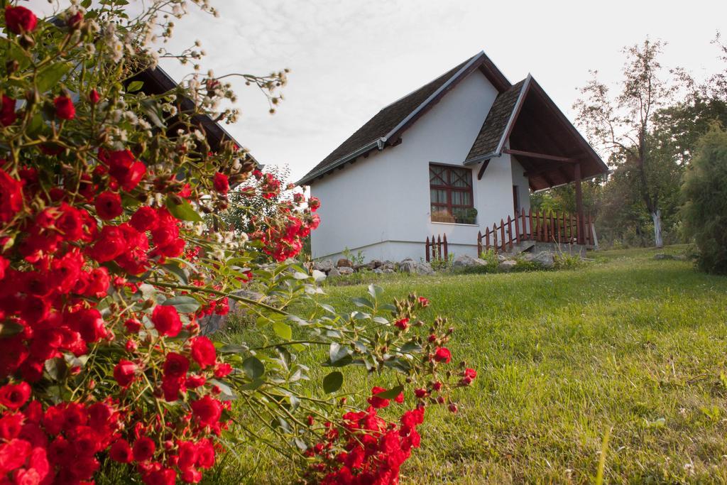 Holiday Home Jazacka Bajka Врднік Екстер'єр фото