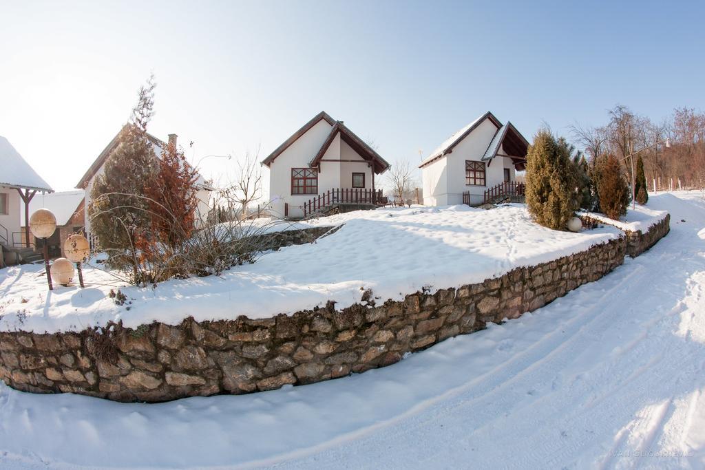 Holiday Home Jazacka Bajka Врднік Екстер'єр фото